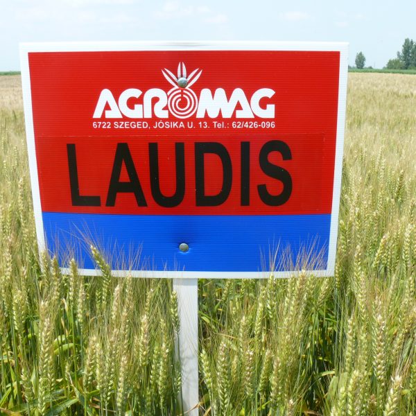 Farmer Agro bemutató Telekg 017 Laudis